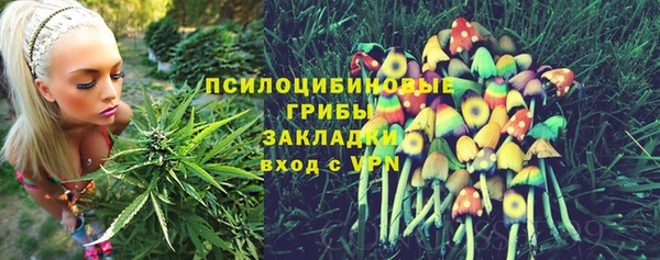 ешки Алексин