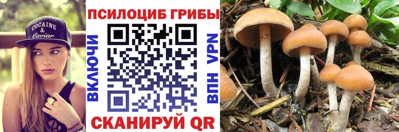 Галлюциногенные грибы мухоморы  наркотики  Тюкалинск 